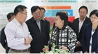 市委副書記、代市長(zhǎng)艾麗華來我公司考察、調(diào)研